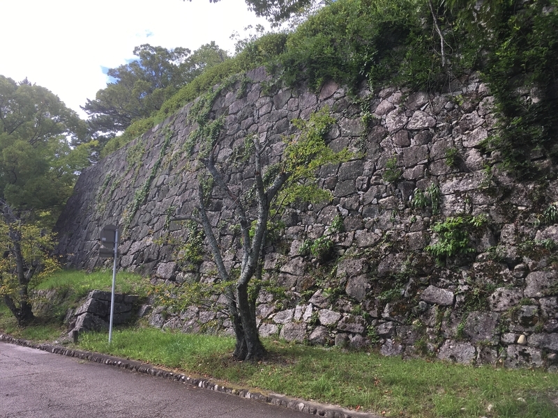 f:id:tatsuyakawakami:20190908231715j:plain