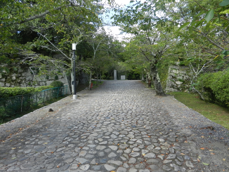 f:id:tatsuyakawakami:20190908231735j:plain