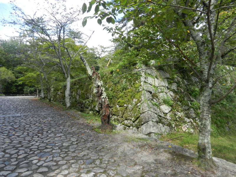f:id:tatsuyakawakami:20190908231745j:plain