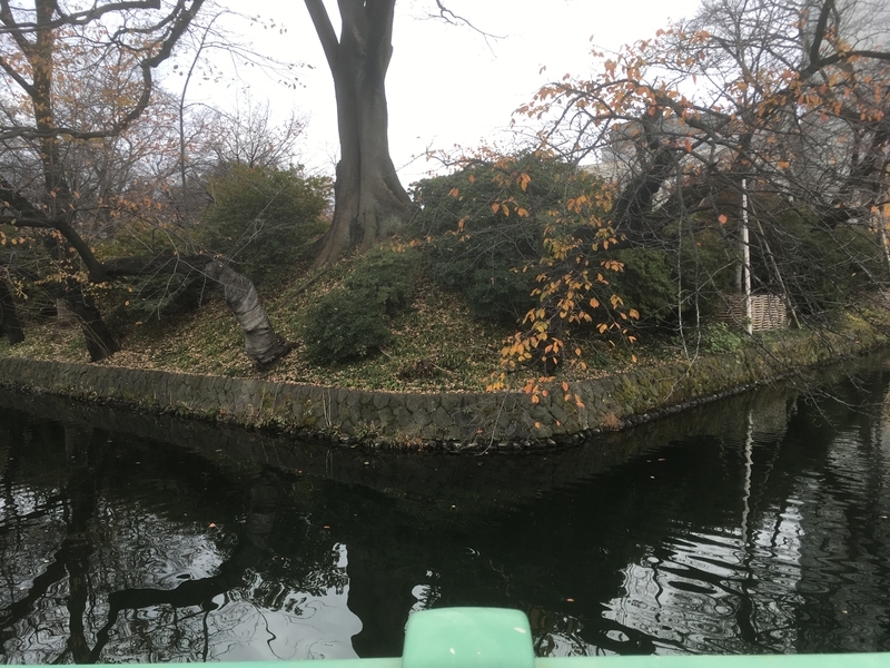 f:id:tatsuyakawakami:20191209182223j:plain