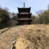 【金山寺】三重塔など重要文化財の古い建造物を求めて山を登る？分かりにくいけど50台