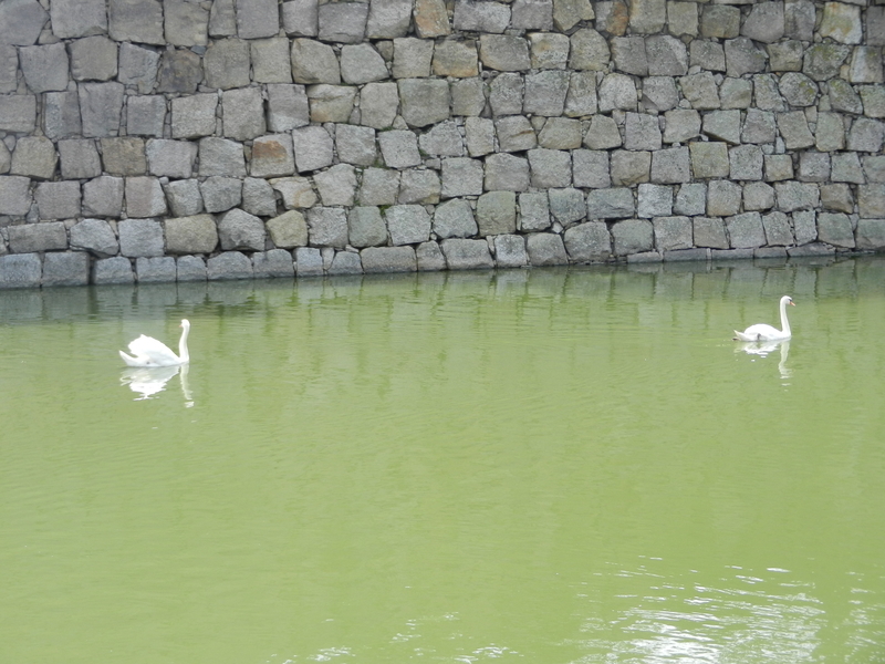 f:id:tatsuyakawakami:20191020222728j:plain