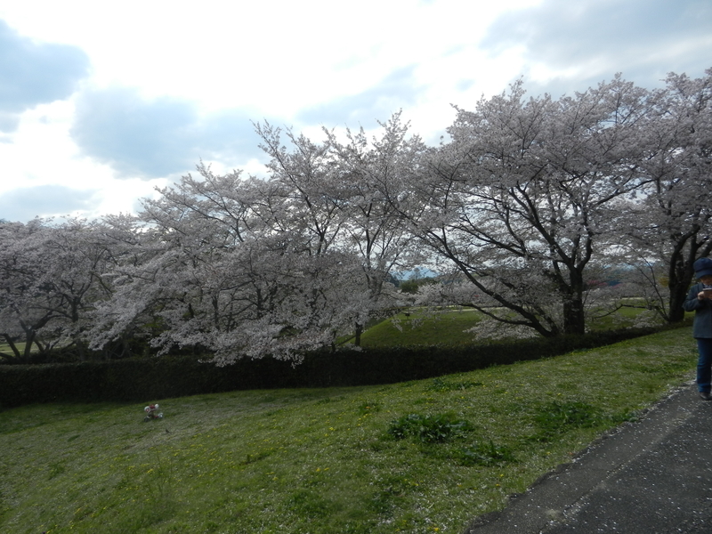 f:id:tatsuyakawakami:20190425121752j:plain