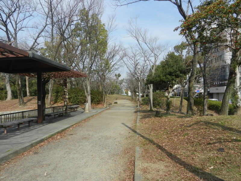 f:id:tatsuyakawakami:20200206143613j:plain