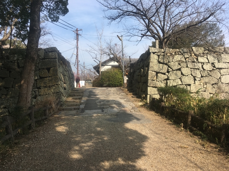 f:id:tatsuyakawakami:20200206143750j:plain
