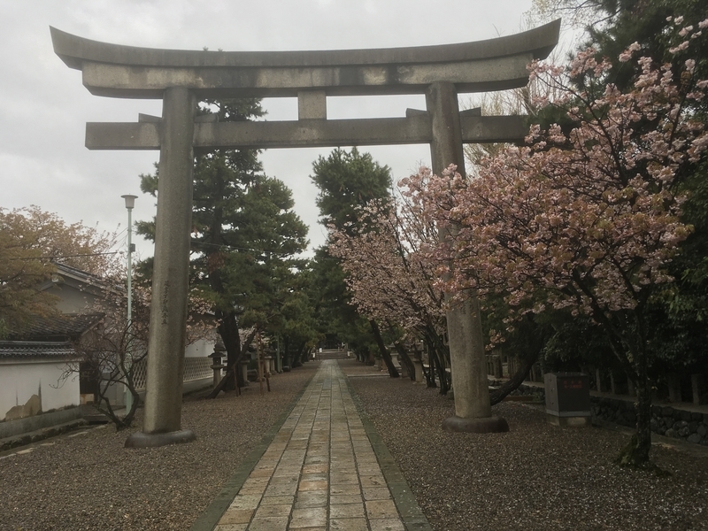 f:id:tatsuyakawakami:20190418153921j:plain