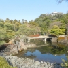 【姫路城すぐ横の庭園！】好古園の入場料は？割引は？いつ建てられた？所要時間は？