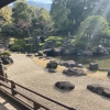 京都・醍醐寺の見どころは？古い屏風・襖絵？枯山水の庭園？