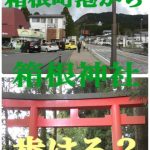 箱根町港から箱根神社（元箱根港）まで徒歩だとどれ位？意外と歩ける？
