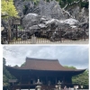 Thumbnail of related posts 061
