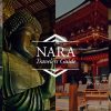 ならまち、そぞろ歩き | 奈良市観光協会サイト