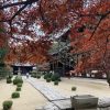 岡山・曹源寺の紅葉の写真！紅葉の時期の土日は駐車場が大変！ | 岡山から青春18きっ